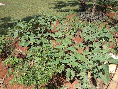 Photos of Taman Wisata Herbal