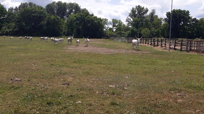 https://ddnp.hu/okoturizmus/bemutatohelyek/os-drava_latogatokozpont