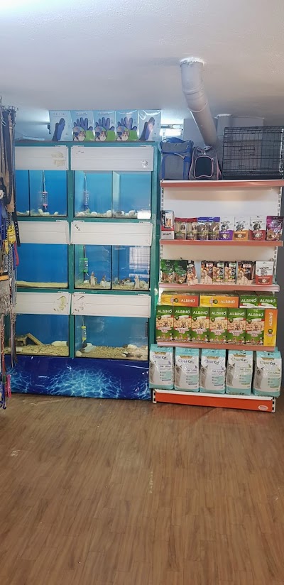 Missy Pet Shop