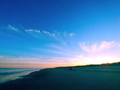 Tybee Tours - Visual