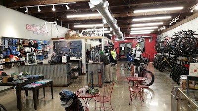 Phat Tire Bike Shop