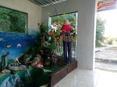 Photos of Camay Collection