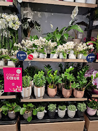 Photo n°26 de Monceau Fleurs à Cergy (Fleuriste)