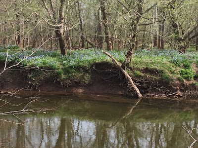 Stone Bridge loop trail