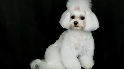 Ecolavakan Peluqueria canina y boutique