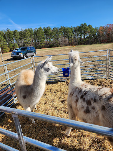 The Pint Sized Pasture - Thumbnail