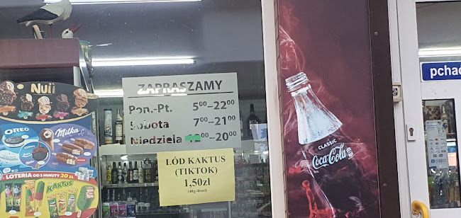 Ignacego Jana Paderewskiego 4C, 05-100 Nowy Dwór Mazowiecki