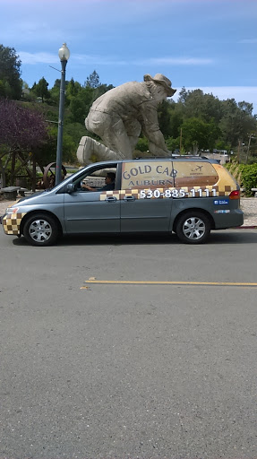 Gold Cab & Limo Service - Thumbnail