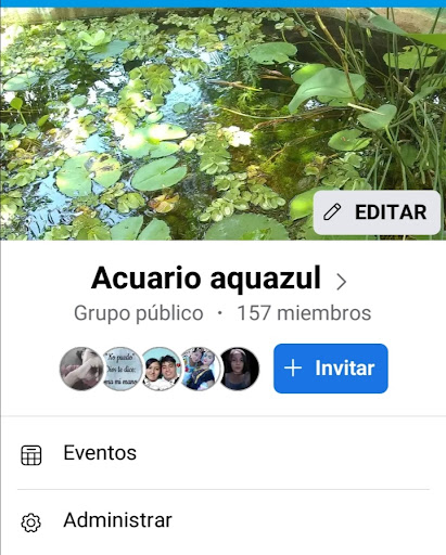 Aquazul - Visual