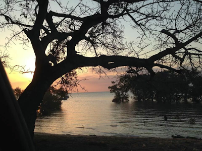 Photos of Nhoxani Beach Lodge