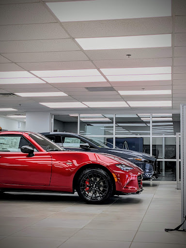 Wayne Mazda - Visual