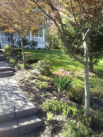 Photos of La Belle de la Riviere
