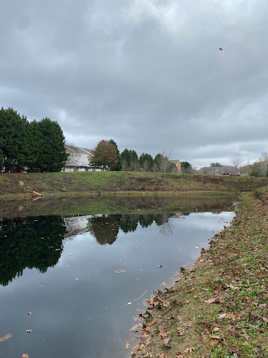 Sheatina Pond - Thumbnail