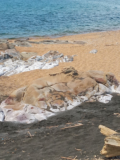 Scoglio di Tosi - Thumbnail