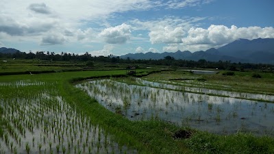 Photos of Ikanbakarpakw0