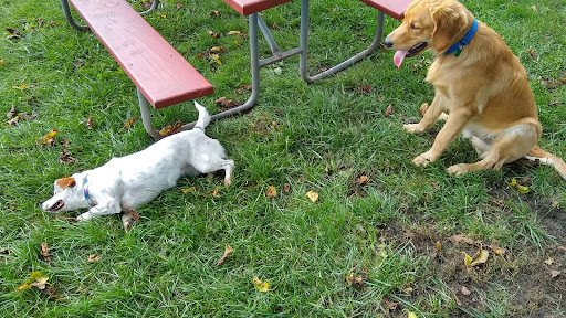 James O. Breen Community Dog Park - Thumbnail