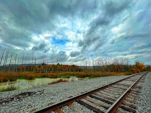 Black Creek Marsh Wildlife Management Area - Thumbnail