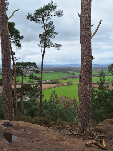 Oliver's Point - Visual