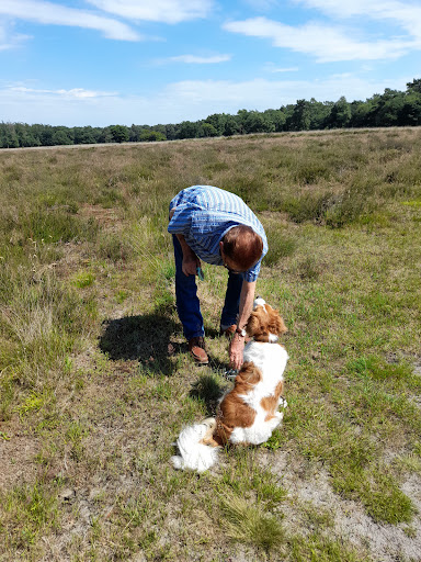 Dierenartsenpraktijk Hoogeveen - Thumbnail