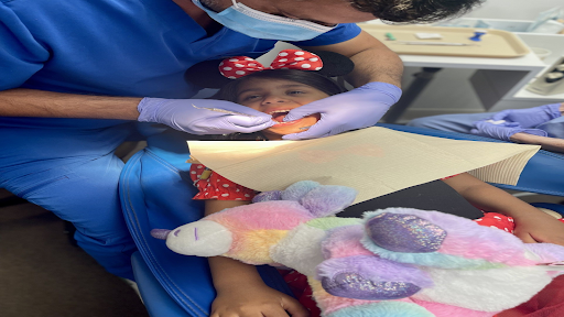 Dr. Nitender Kumar - Visual