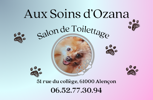 Aux soins d’ozana - Thumbnail