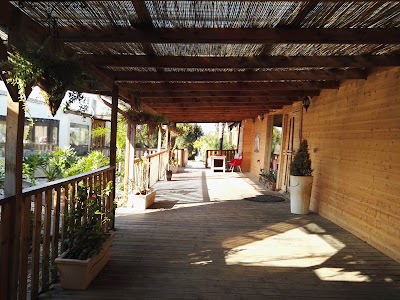 Photos of מעצבים ביקב- שירן סבוראי