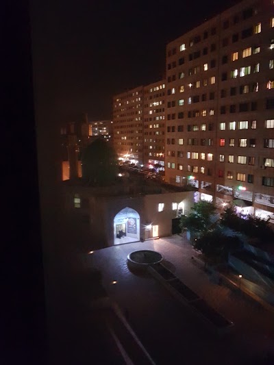 Photos of مسجد فاطمه الزهراء