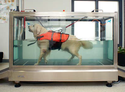 My Pet Care κτηνιατρείο