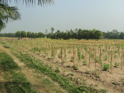 Photos of Ghose Agro Farm
