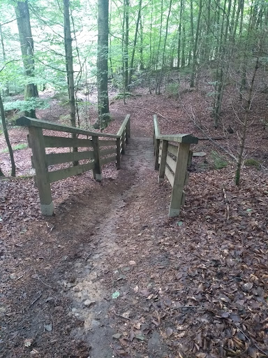 Arenbergische Waldkapelle - Thumbnail