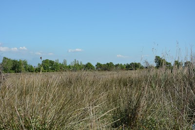 Patoku Park