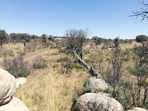 Columpios Park - Visual