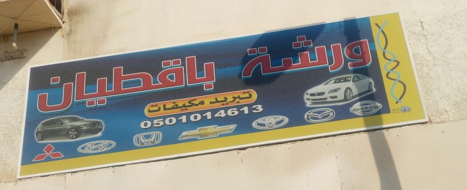 BaGatyan Car AC Repair AutoElectrician, Author: Mohammed Syed