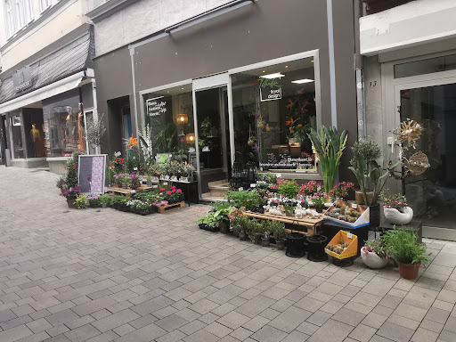 Tillandsia Floraldesign