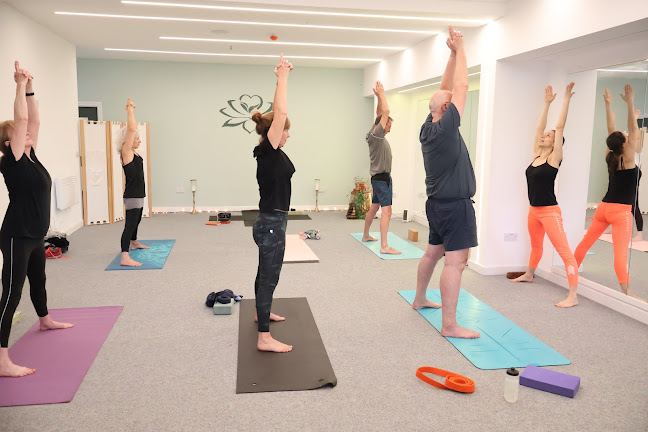 PrimaYoga Studios - Yoga studio
