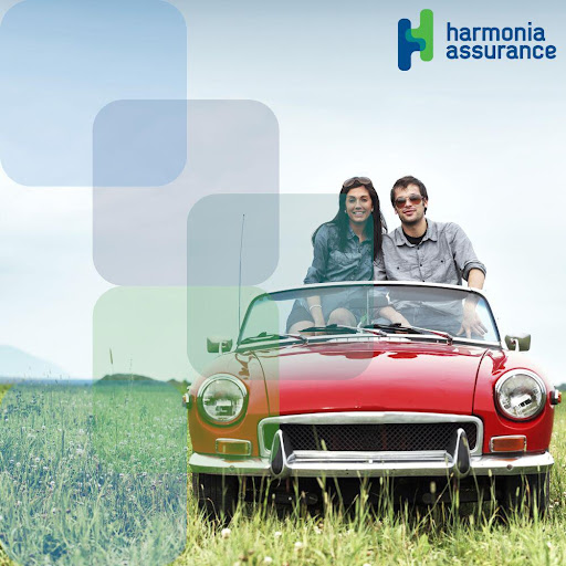 Harmonia Assurance – courtiers à Rouyn-Noranda Gallery - Canada