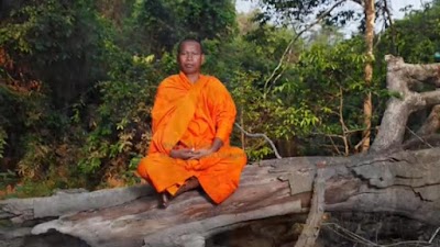 Photos of ព្រៃសង្ឃសហគមន៍រុក្ខាវ័ន (Monk's Community Forestry)