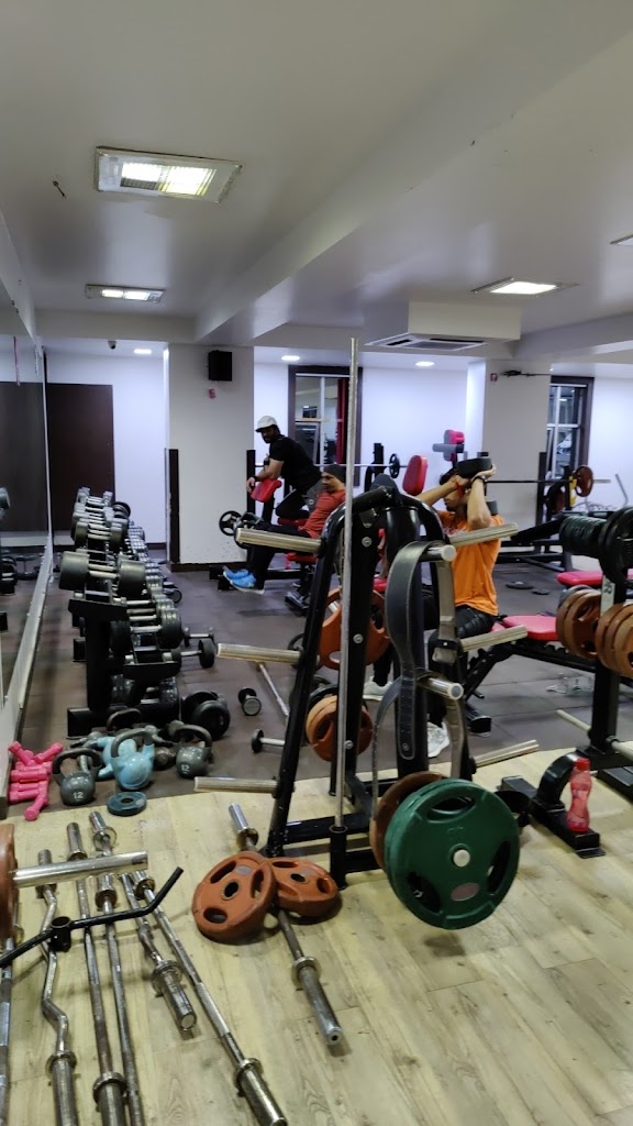 Neo Fit Gym Napier Town