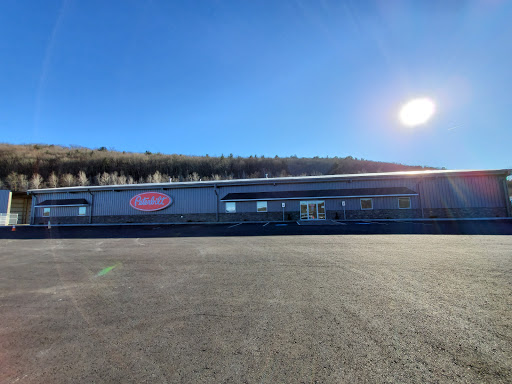 Dimmick Group Peterbilt - Owego - United States