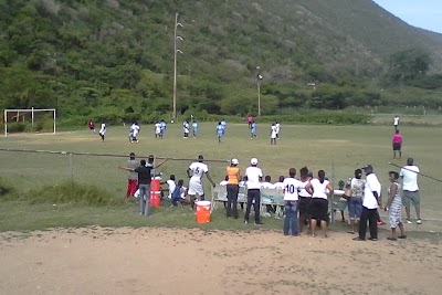 stadium