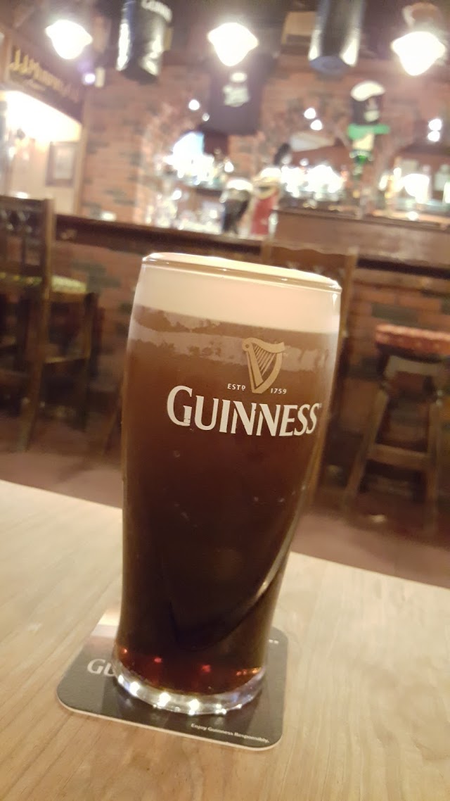 THE IRISH TIMES PUB