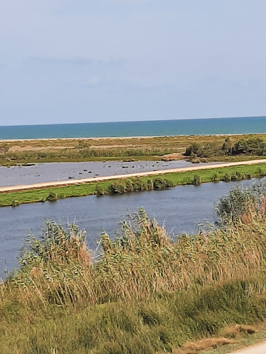 Ruta Via Buda - Thumbnail