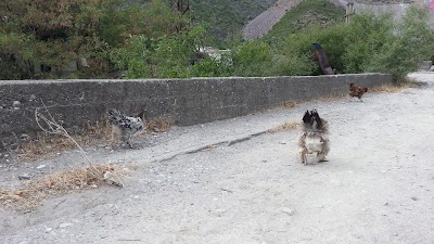 Photos of bardzo przyjemne miejsce do spania. Jak śpisz, to masz pierszeństwo wjazdu na prom