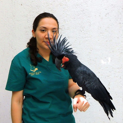 AVE Atención Veterinaria Especializada