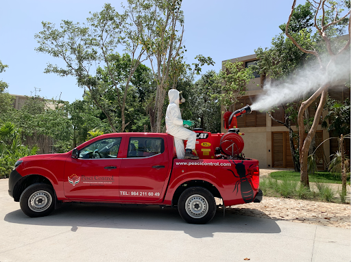 Pesci Control Riviera Maya - Control de Plagas