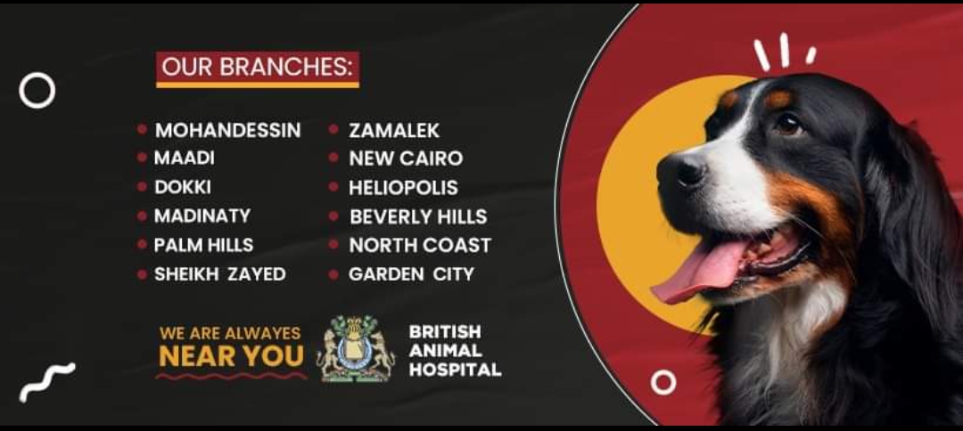 مستشفى الحيوان البريطاني - زايد - صورة 2