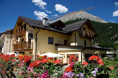Photos of Albergo Ristorante la Ginestra