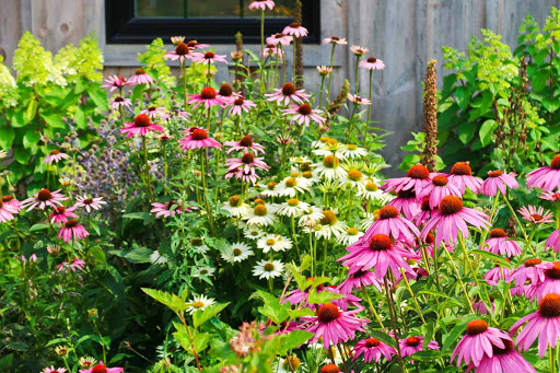 Sideroad Farm Gallery - Canada