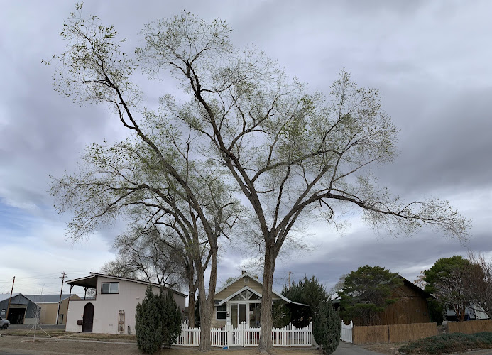 Stronghold Tree Care