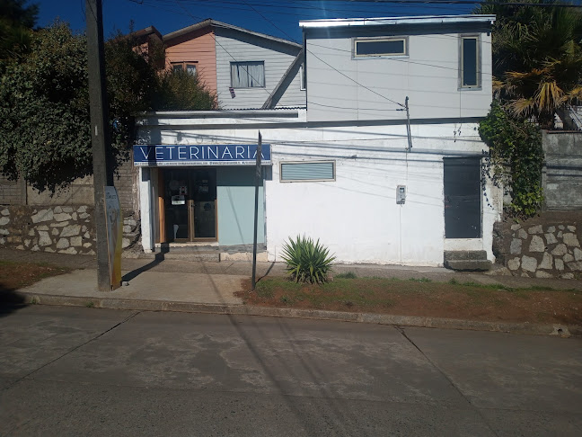 Clinica Veterinaria Honu